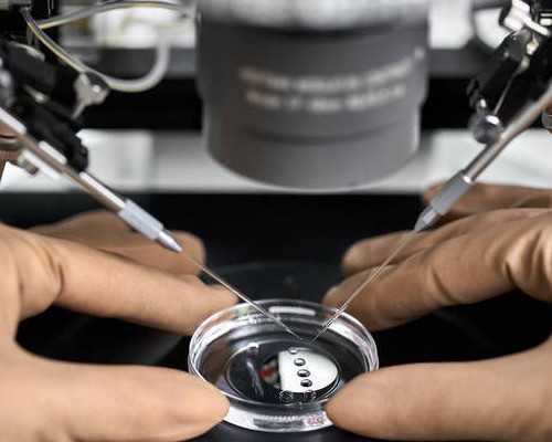 国内做第三代试管最厉害的医院合法吗！国内三代试管成功率最高的医院！