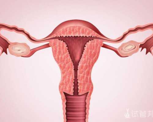 2025年国内能做第四代试管婴儿的私人医院有哪些！国内有第四代试管婴儿吗