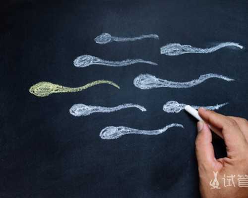 2025年国内试管婴儿不用等的正规医院名单有哪些？深析国内试管婴儿现状						