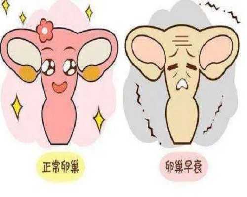 国内私人机构做三代试管婴儿挑男女费用(附国内热门三代私立医院名单)